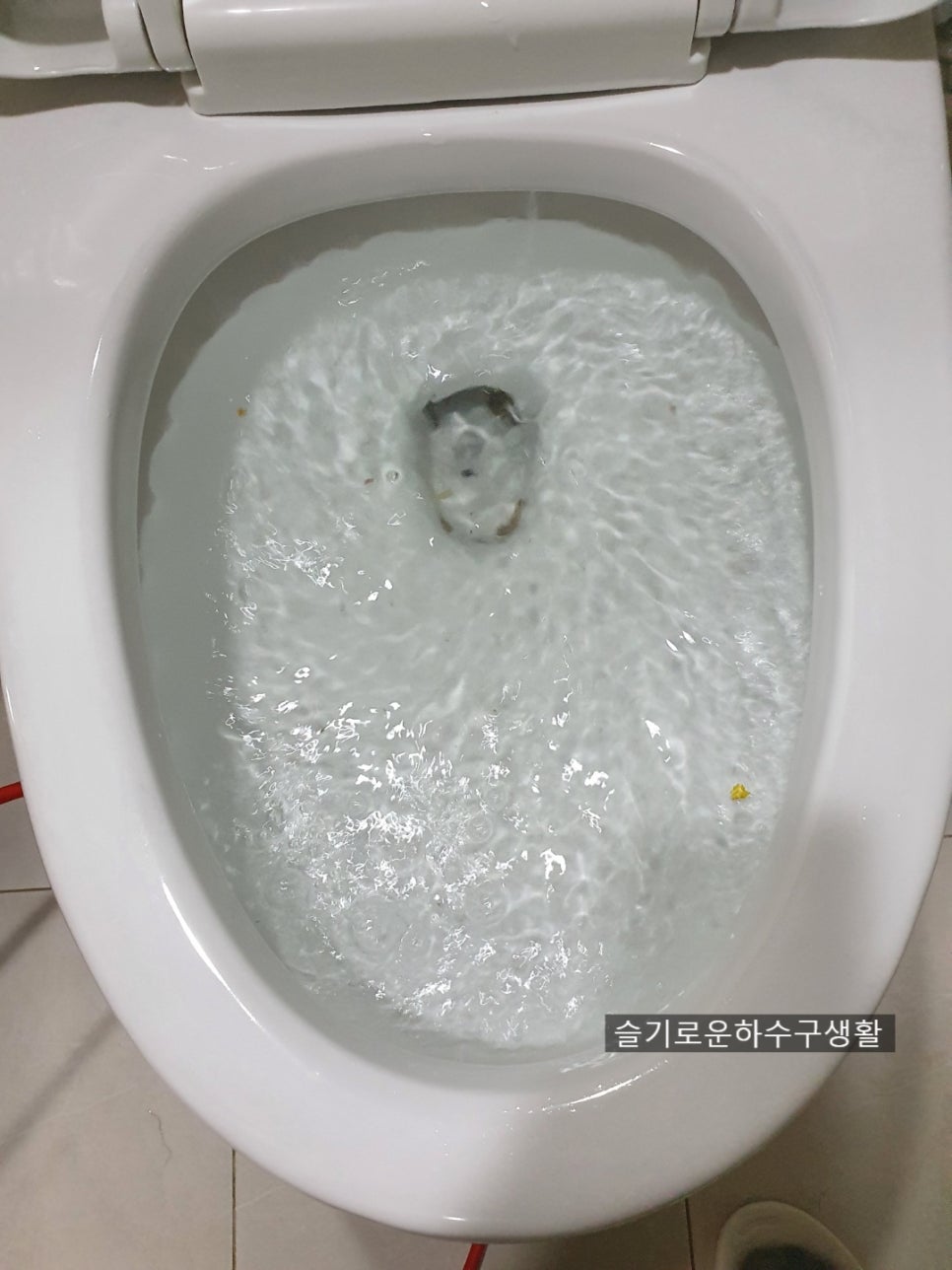 수원변기막힘 변기볼팬 빼내기 권선구 영통구 변기뚫음 - 수원 변기막힘 현장 이미지