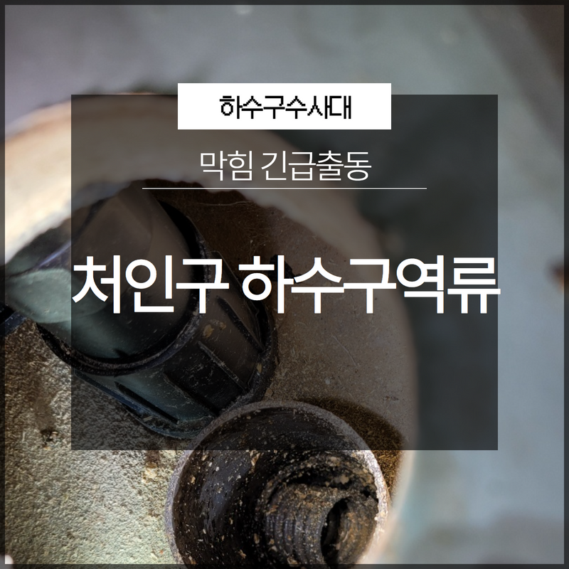 작업 과정 사진 1