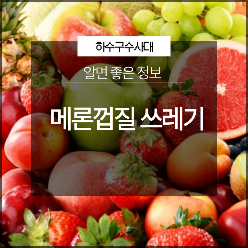 메론껍질 음식물 쓰레기 배출 방법 - 용인 하수구막힘 현장 이미지